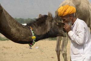 Pushkar 3